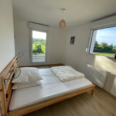 Maisons Neuves Dans Quartier Calme 科尔马