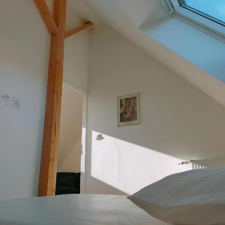 Maisons Neuves Dans Quartier Calme